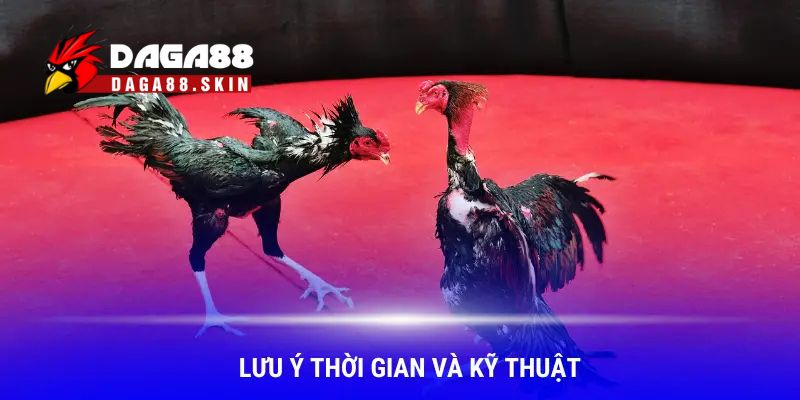 Lưu ý khi cắt tỉa lông gà chọi