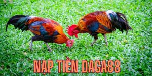 Nạp tiền Daga88