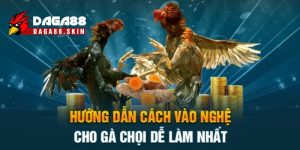 Vào nghệ cho gà chọi